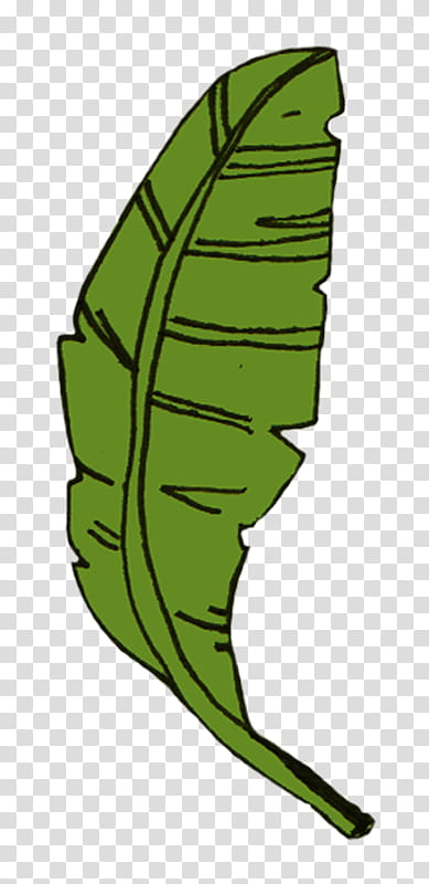 Banana Leaf, Sri Lanka, Appam, Film, Green Banana Leaves, Line Art, Tamil, Plant transparent background PNG clipart