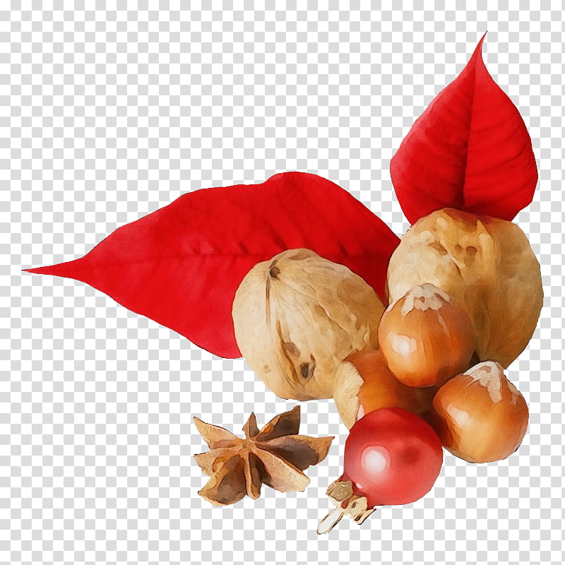 Watercolor Flower, Paint, Wet Ink, Hazelnut, Walnut, Food, Christmas Day, Dried Fruit transparent background PNG clipart