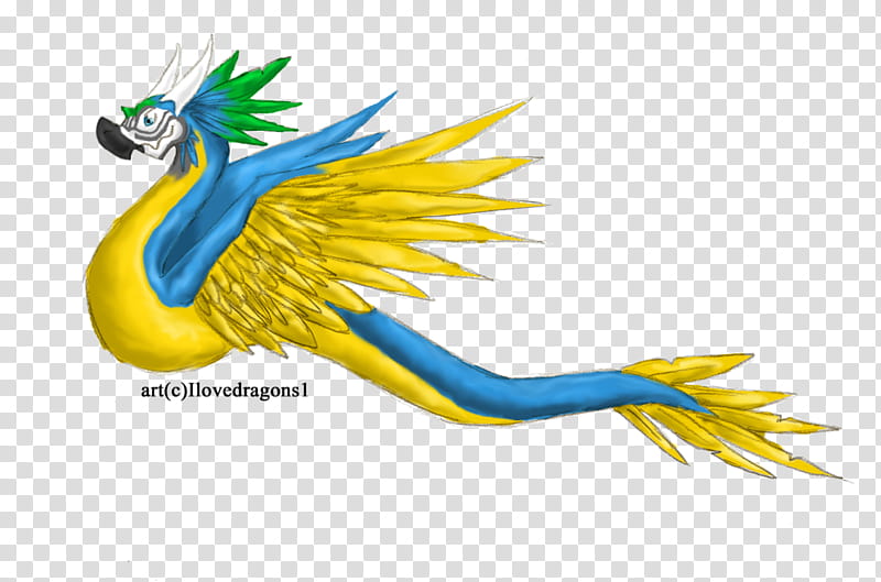 Parrot Amphithere, yellow and blue dragon transparent background PNG clipart