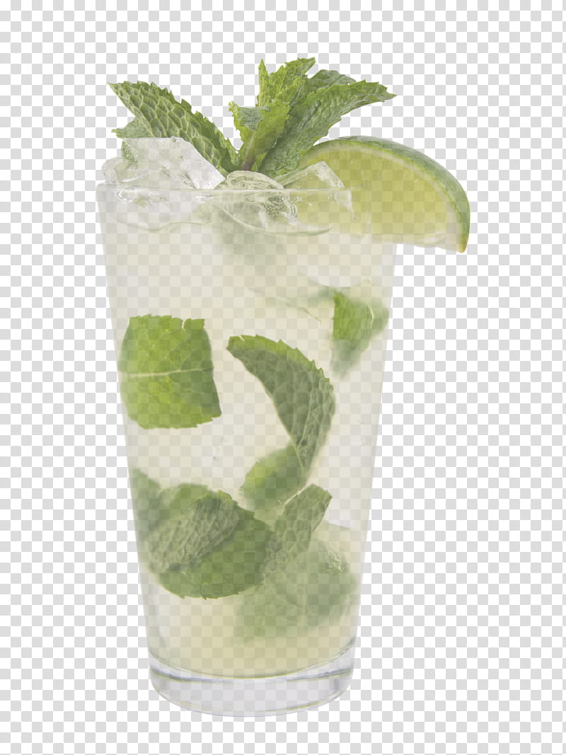 Mojito, Cocktail Garnish, Highball Glass, Drink, Mint Julep, Limonana, Alcoholic Beverage, Lime Juice transparent background PNG clipart