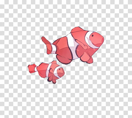 Fish s, two clown fish transparent background PNG clipart