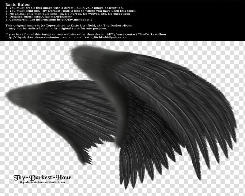 Black angel wings , black wings costume transparent background PNG clipart