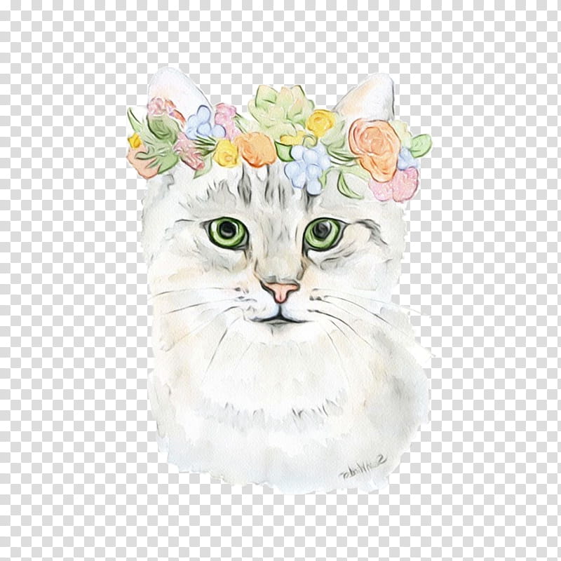cat white small to medium-sized cats whiskers watercolor paint, Wet Ink, Small To Mediumsized Cats, American Curl, Kitten transparent background PNG clipart