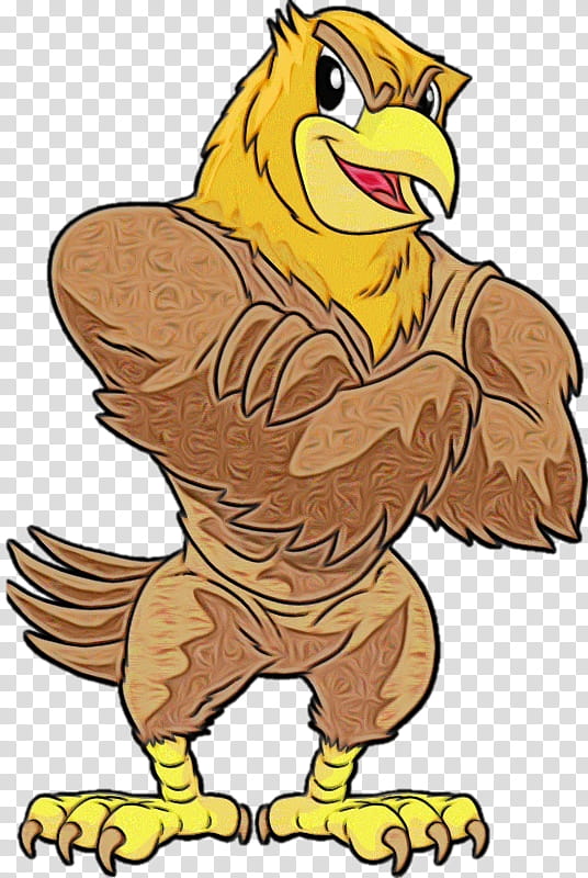 cartoon bird eagle beak hawk, Watercolor, Paint, Wet Ink, Cartoon, Golden Eagle, Bird Of Prey transparent background PNG clipart