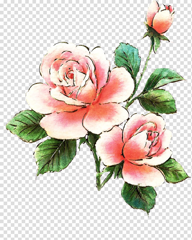 Jinifur Pink Rose Element transparent background PNG clipart