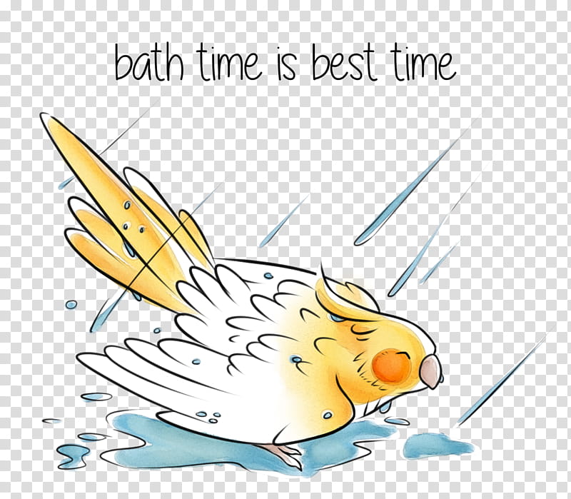 Bird Line Art, Cockatiel, Pet, Calendar, Teacher, Lesson, Character, Rights transparent background PNG clipart