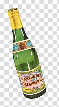Canada Dry bottle transparent background PNG clipart