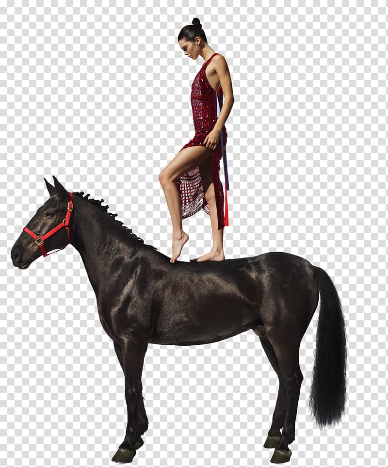 KENDALL JENNER, KJ-RW transparent background PNG clipart