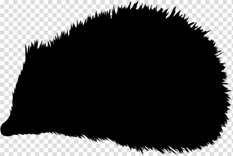 Hedgehog Black, Silhouette, Silhouette Green, Sunset, Fur transparent background PNG clipart