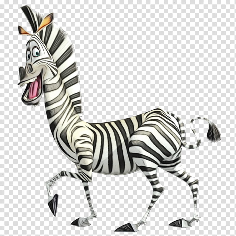 Zebra, Marty, Melman, Alex, Madagascar, Zoo Animal, Rico, Character transparent background PNG clipart
