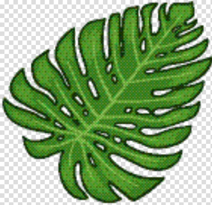 Green Leaf, Tree, Fruit, Monstera Deliciosa, Plant, Botany, Flower transparent background PNG clipart