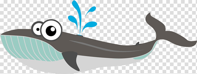 Whale, Whales, Porpoise, Shark, Dolphin, Baleen Whale, Animal, transparent background PNG clipart