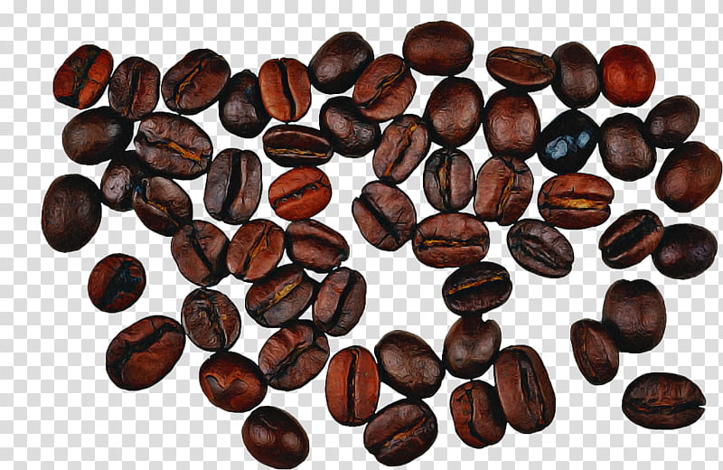 plant food bean seed java coffee, Caffeine, Superfood transparent background PNG clipart