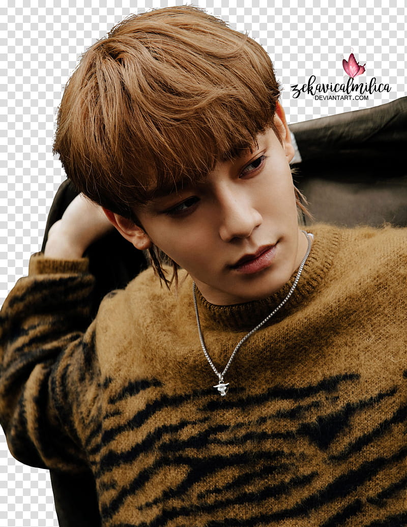 EXO Chen Don t Mess Up My Tempo transparent background PNG clipart