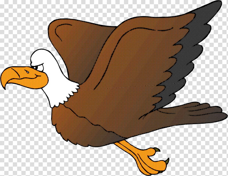 bird cartoon eagle beak golden eagle, Bird Of Prey, Vulture, Wing transparent background PNG clipart