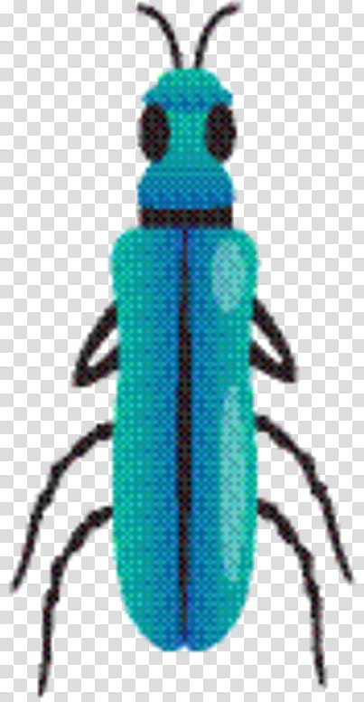 Weevil Beetle Pest Membrane Turquoise, Insect, Blister Beetles, Jewel Beetles, Ground Beetle transparent background PNG clipart