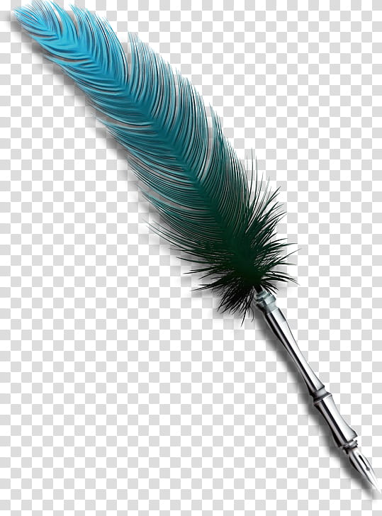 Writing, Feather, Quill, Artificial Fly, Pen, Fishing Lure, Writing Implement, Bait transparent background PNG clipart