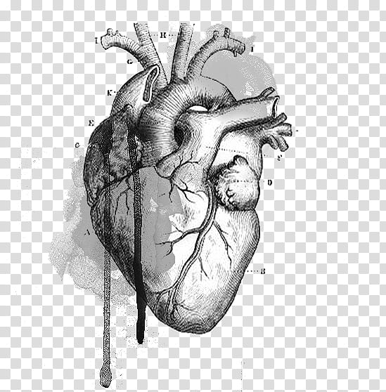 RESOURCES, grey heart illustration transparent background PNG clipart