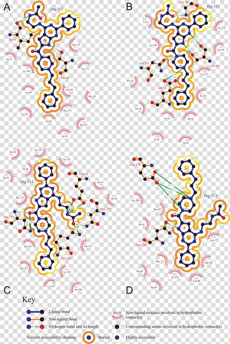 Glucose Oxidase Text, Line, Point, Structure transparent background PNG clipart