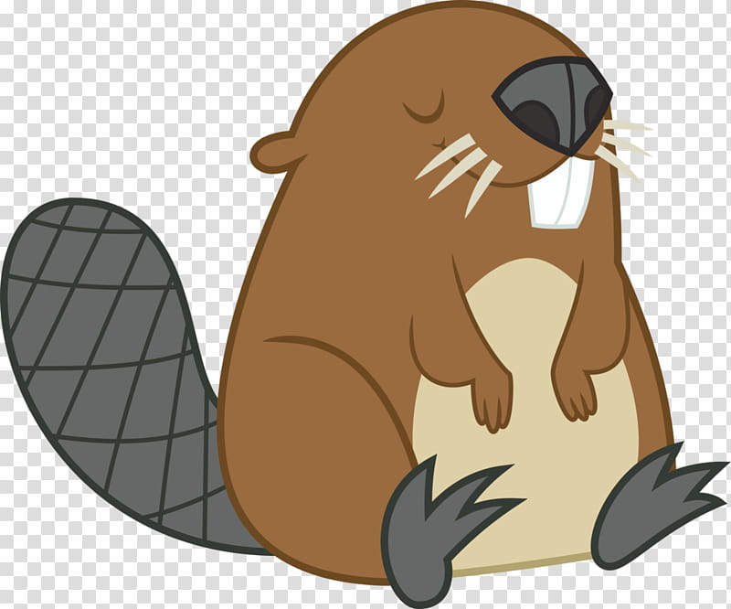 Beaver, Drawing, Beaver Attack, American Beaver, Seals, Snout, Bear, Wildlife transparent background PNG clipart
