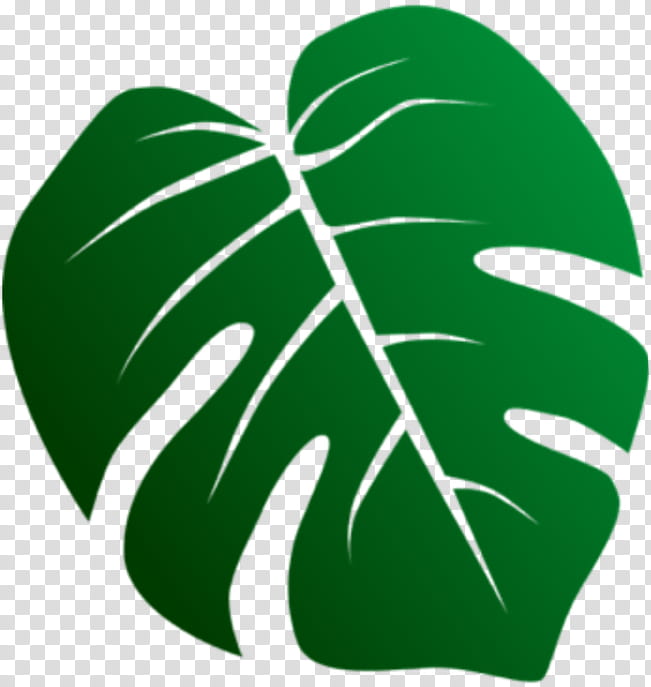 split leaf philodendron clipart