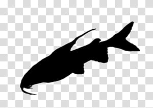Whale, Beak, Bird, Silhouette, Water Bird, Black M, Wing, Fish transparent background PNG clipart thumbnail