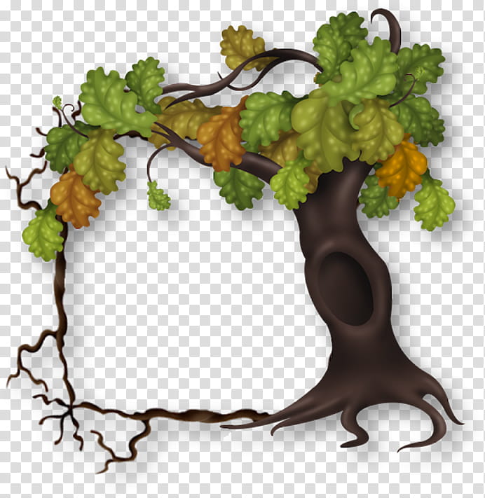 vine tree png clipart
