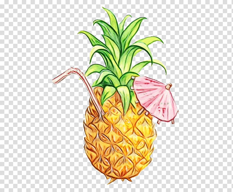 Watercolor Plant Paint Wet Ink Pineapple Ananas Fruit Food Poales Transparent Background