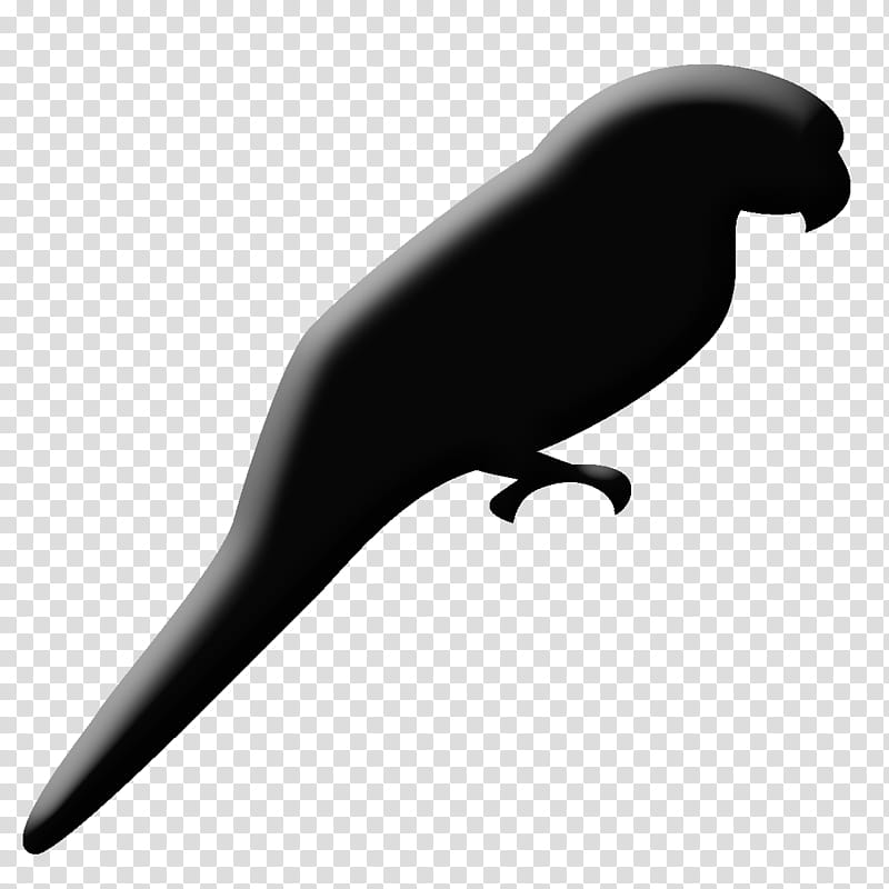 Sea Bird, Sea Lion, Beak, Black, Seals, Black And White
, Wing transparent background PNG clipart