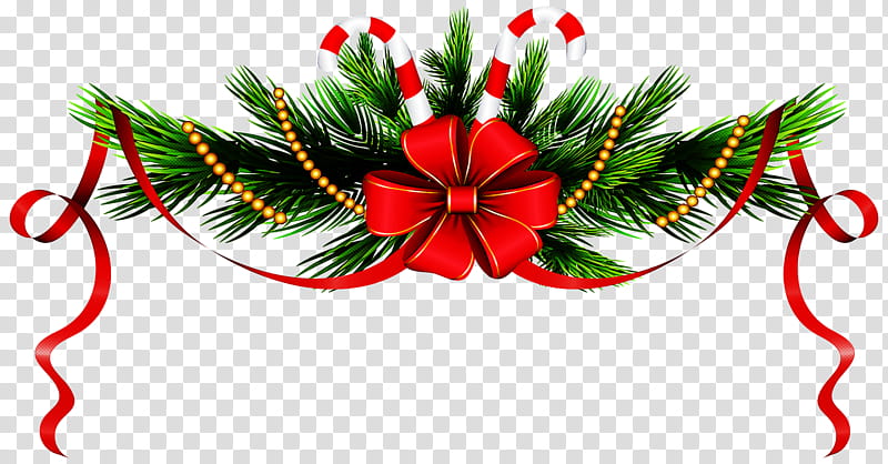 Christmas decoration, Red, Leaf, Plant, Flower, Holly, Anthurium, Pine transparent background PNG clipart