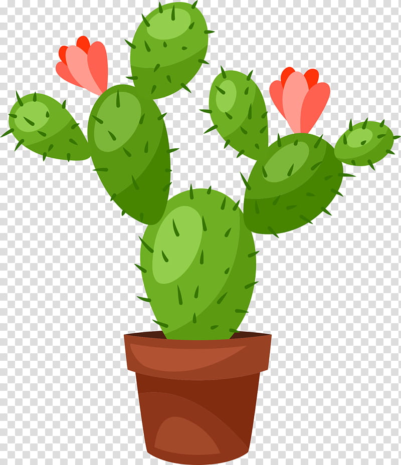 Cactus, Flowerpot, Succulent Plant, Plants, Barbary Fig, Prickly Pear, Nopal, Eastern Prickly Pear transparent background PNG clipart