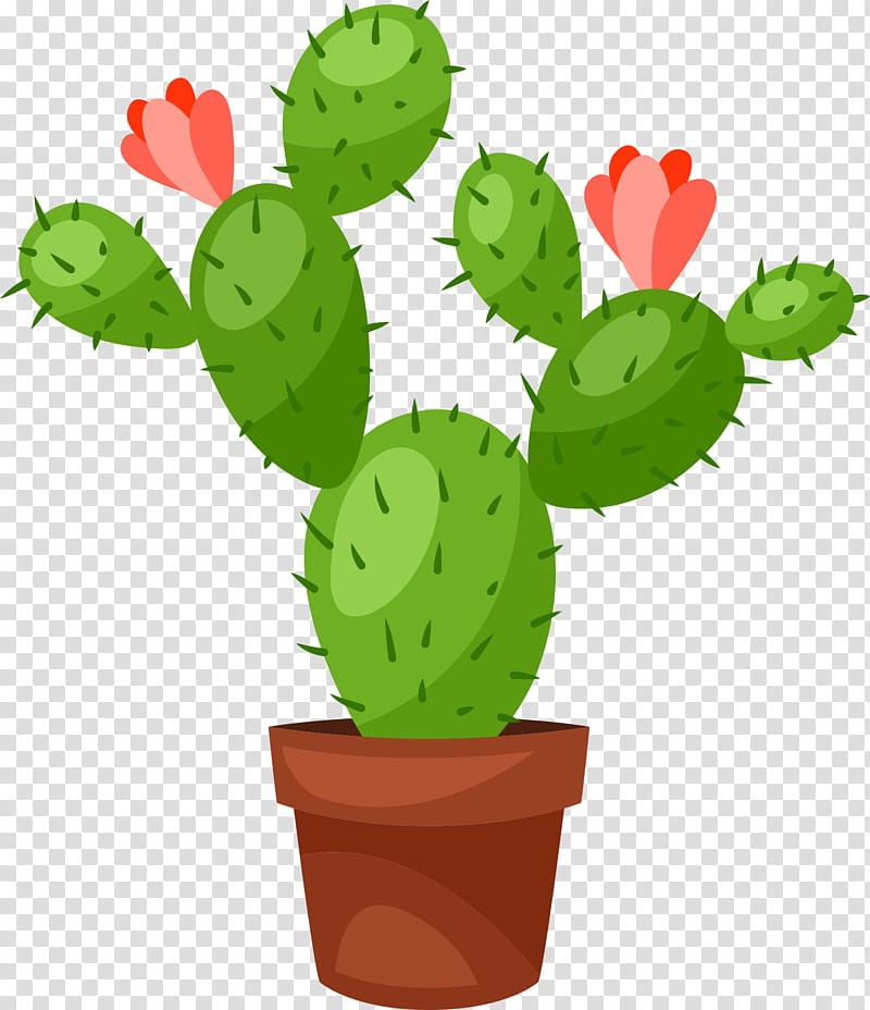 cactus flowerpot succulent plant plants barbary fig prickly pear nopal eastern prickly pear transparent background png clipart hiclipart cactus flowerpot succulent plant