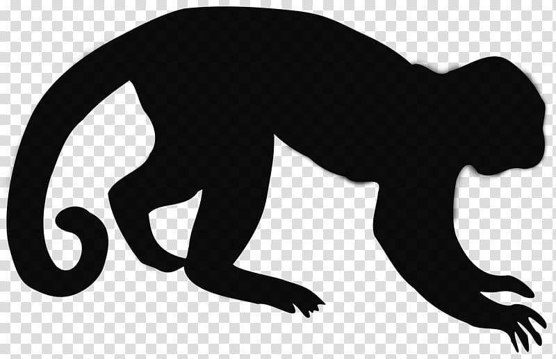 Puma Logo, Gorilla, Cat, Human, Silhouette, Behavior, Ape, Great Apes transparent background PNG clipart