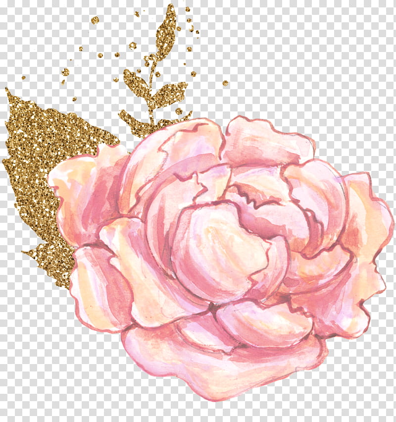 Watercolor Pink Flowers, Garden Roses, Watercolor Painting, Drawing, Cabbage Rose, Floral Design, Petal, Rose Family transparent background PNG clipart
