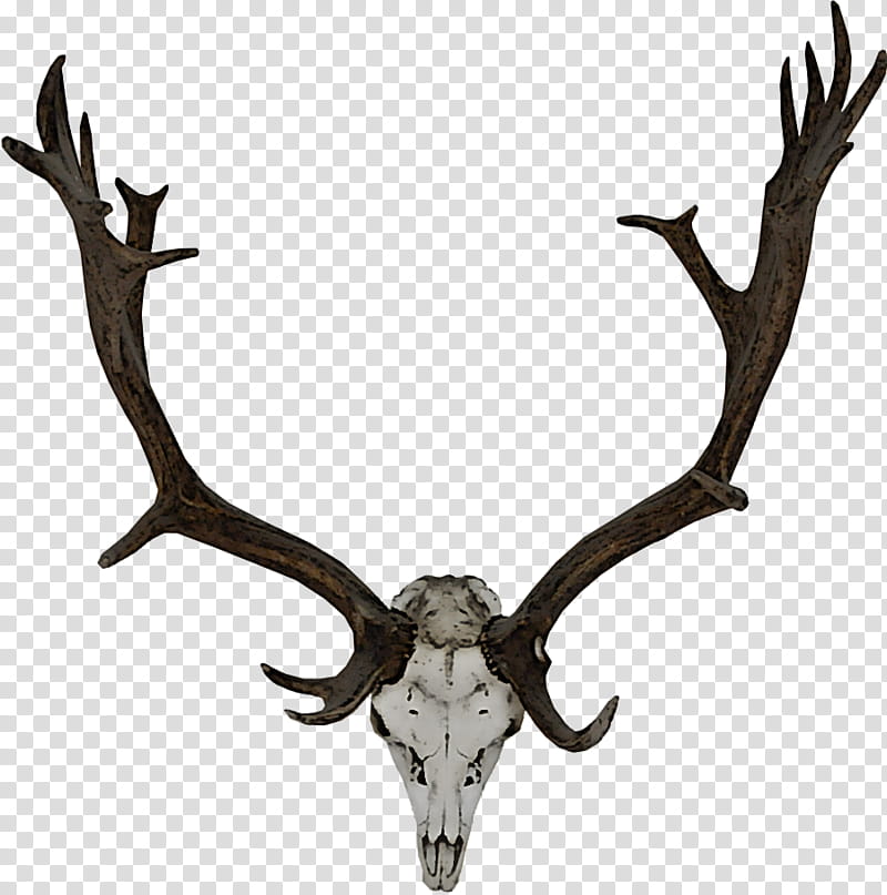 Reindeer, Horn, Antler, Elk, Barren Ground Caribou, Wildlife, Trophy Hunting, Moose transparent background PNG clipart