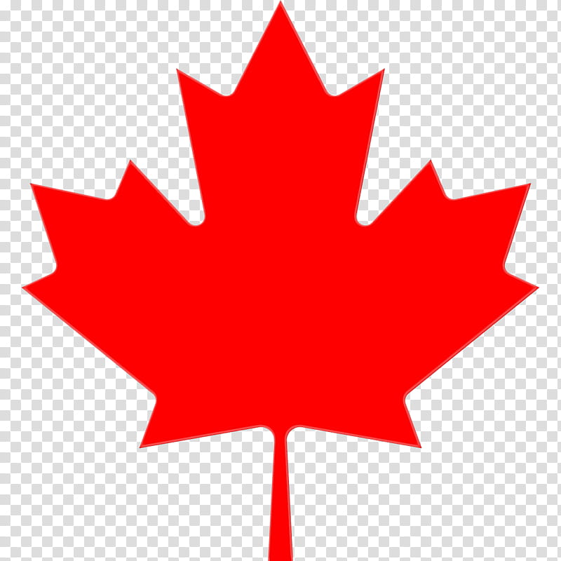 Canada Maple Leaf, Red Maple, Flag Of Canada, Canadian Gold Maple Leaf, Tree, Woody Plant, Symbol, Plane transparent background PNG clipart
