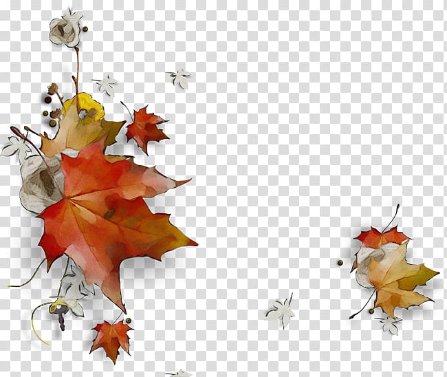 Autumn Leaf Drawing, Watercolor, Paint, Wet Ink, Painting, Frames, Maple Leaf, Tree transparent background PNG clipart