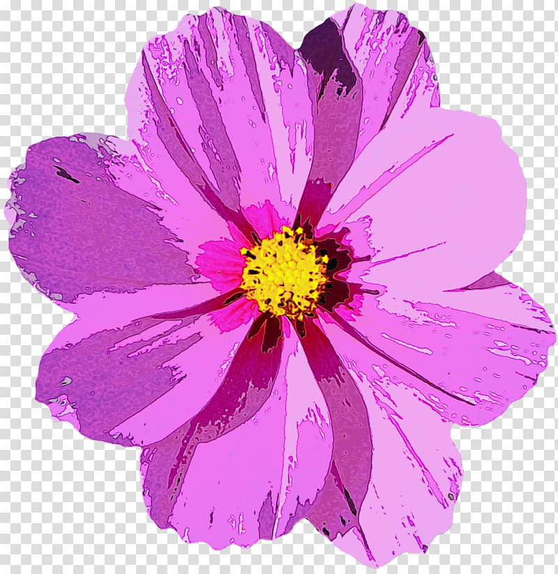 Pink Flower, Garden Cosmos, Cut Flowers, Flower Bouquet, Fractal Art, Petal, Violet, Plant transparent background PNG clipart