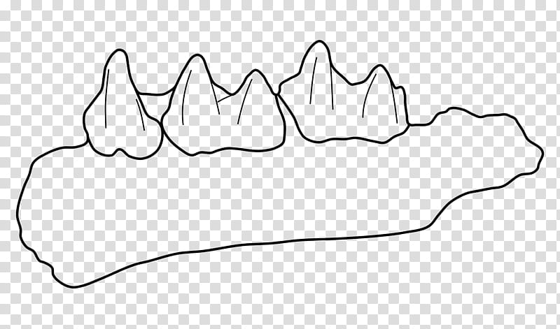 Mouth, Shoe, Finger, Angle, Line, Walking, Animal, Meter transparent background PNG clipart