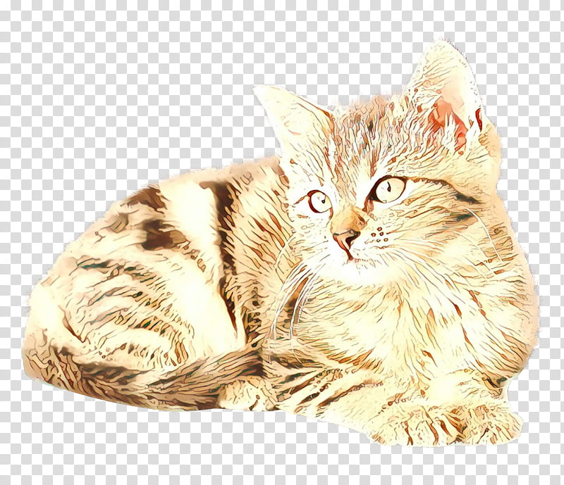 Dog And Cat, Kitten, Cat Food, Purina One, Pet, Fodder, Hills Pet Nutrition, Small To Mediumsized Cats transparent background PNG clipart