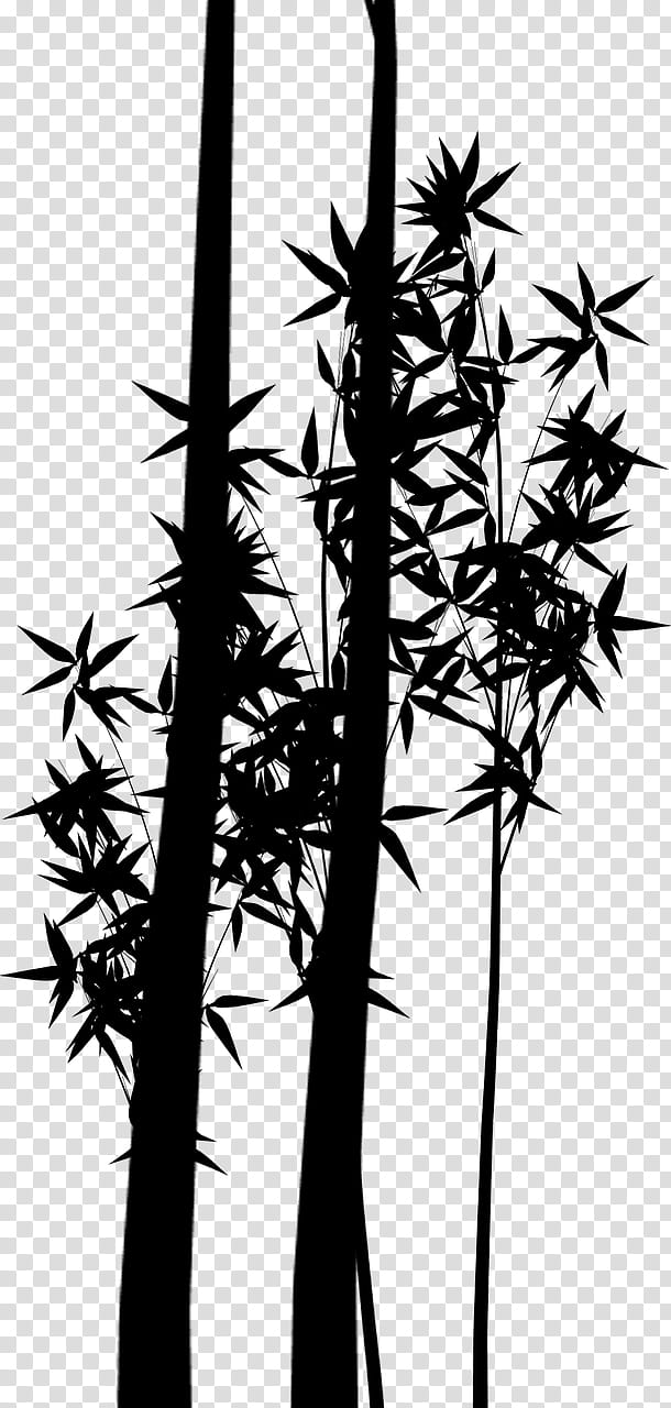 Tree Branch Silhouette, Plant Stem, Bamboo, Branching, Plants, Thorns Spines And Prickles, Terrestrial Plant, Flower transparent background PNG clipart