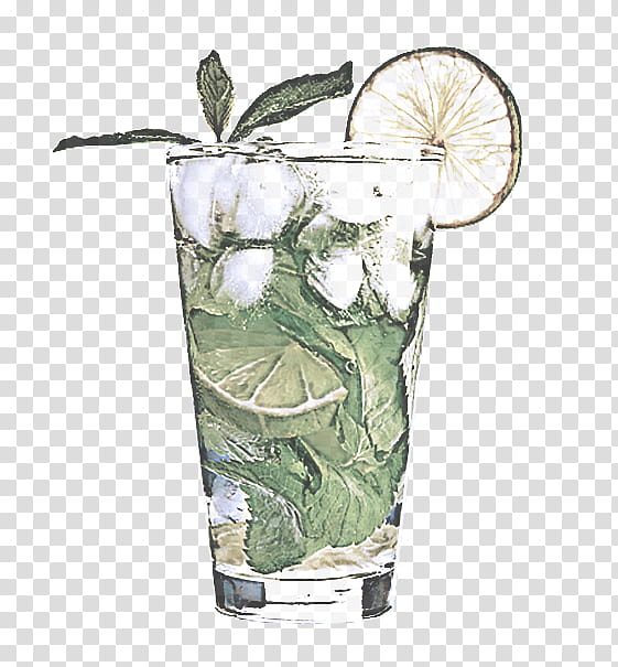 highball glass cocktail garnish drink plant non-alcoholic beverage, Nonalcoholic Beverage, Vodka And Tonic, Distilled Beverage, Anthurium transparent background PNG clipart