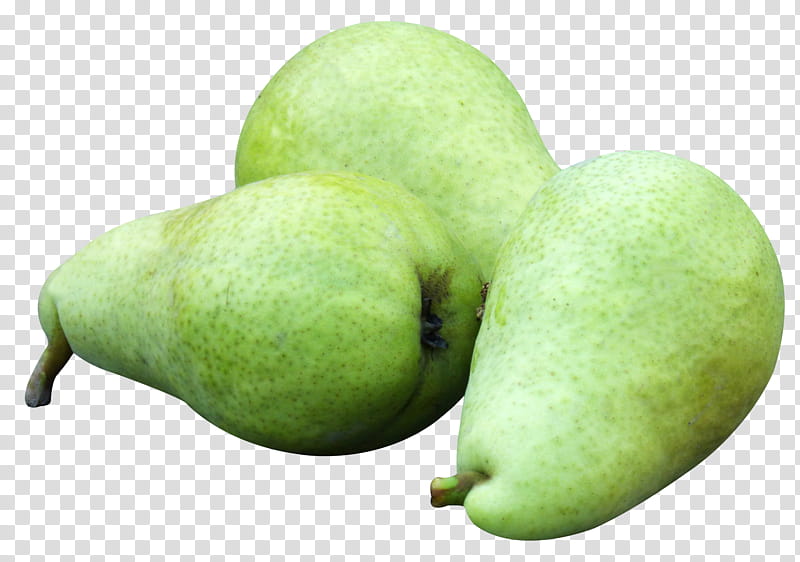 Vegetable, Asian Pear, Food, Bosc Pear, Fruit, Black Worcester Pear, Danjou, Apple transparent background PNG clipart
