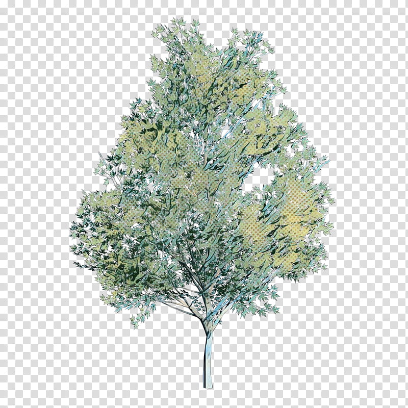 Family Tree, Pop Art, Retro, Vintage, Branch, Plane Trees, Birch, Leaf transparent background PNG clipart