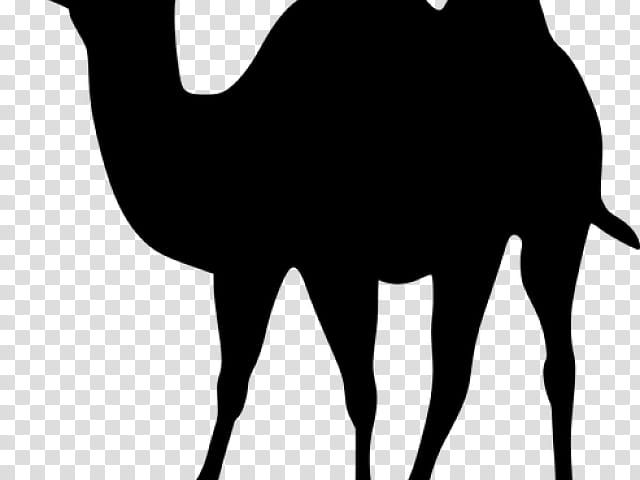 Indian Elephant, Camel, Silhouette, Drawing, Cartoon, White, Black, Camelid transparent background PNG clipart