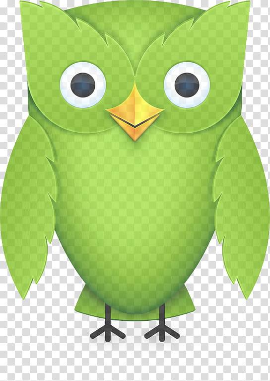 owl green cartoon bird bird of prey, Animation, Screech Owl transparent background PNG clipart