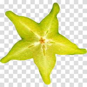 Fruit, green carambola fruit illustration transparent background PNG clipart