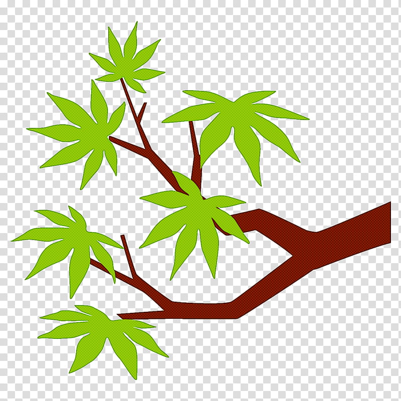 maple branch maple leaves maple tree, Leaf, Plant, Plant Stem, Hemp Family, Flower transparent background PNG clipart