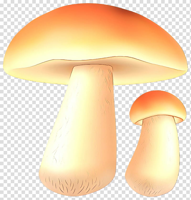 Mushroom, Orange Sa, Edible Mushroom, Agaricomycetes, Agaricaceae, Agaricus, Fungus, Material Property transparent background PNG clipart