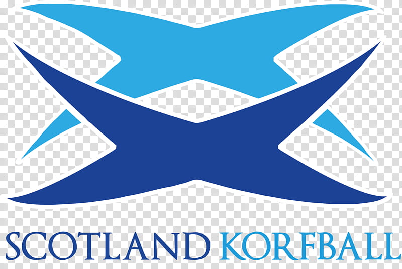 Twitter Logo, Korfball, Scotland, Ska, Microsoft Azure, Text, Wing, Line transparent background PNG clipart